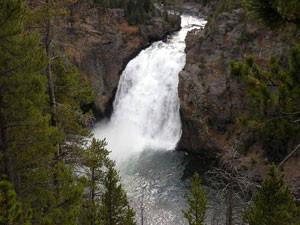 Yellowstone National Park - Upper Falls Yellowstone River